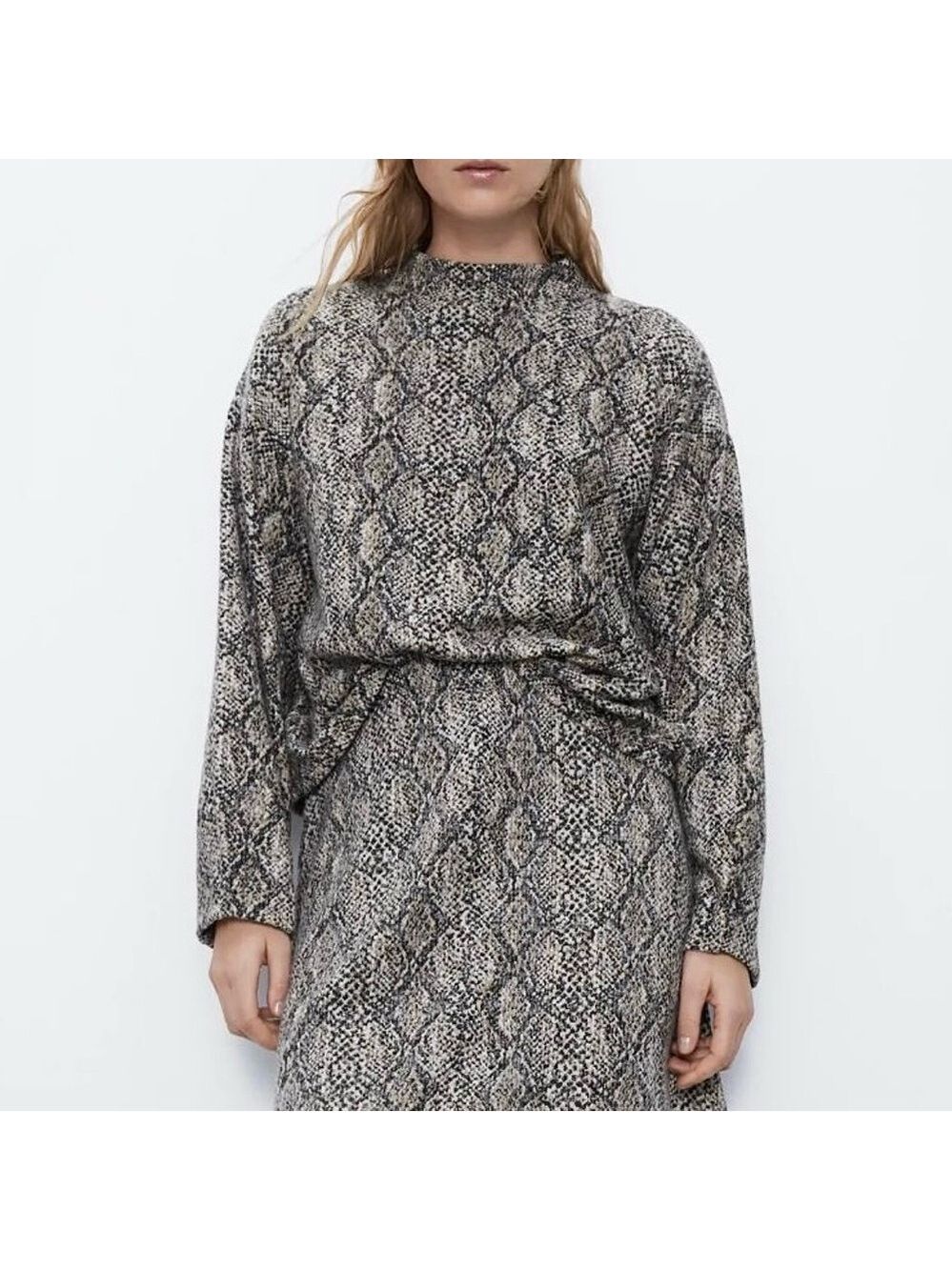 Zara Snake Print Mock Neck Cropped Pullover Sweater